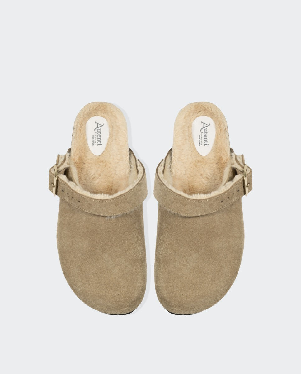mocca topo